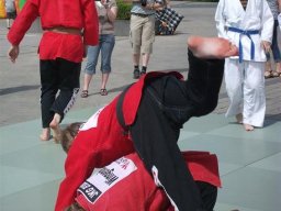 Bilder aus 2011